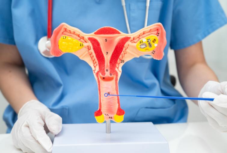 Urogynaecology procedures 